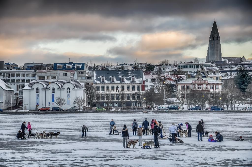 Freyja Guesthouse & Suites Reykjavík Zewnętrze zdjęcie